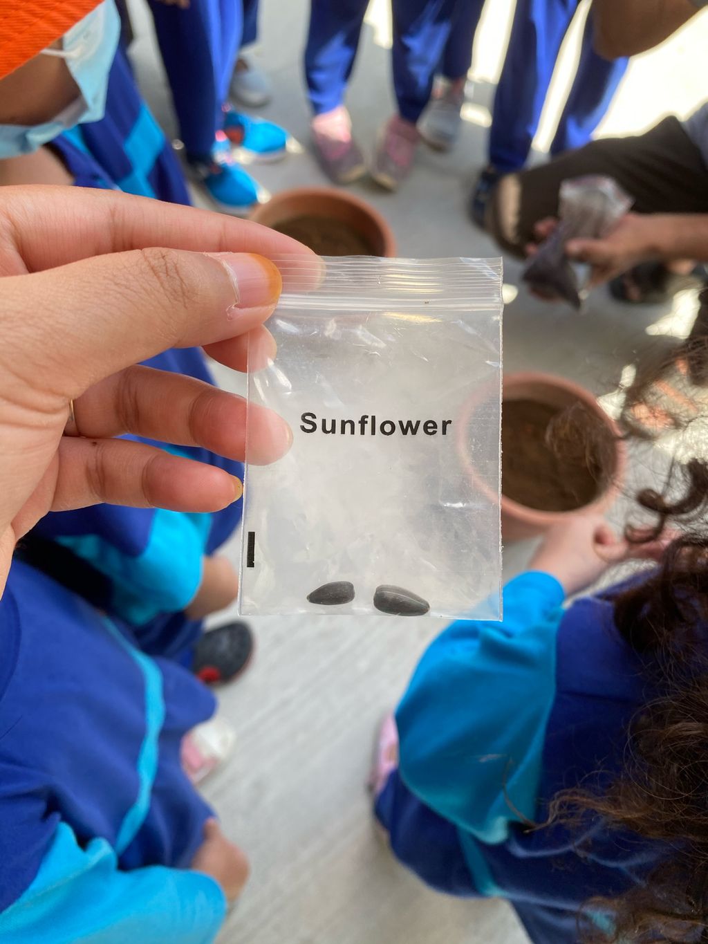 Week 7: ‘Nature and Me!’ – Launching of Project Sunflower