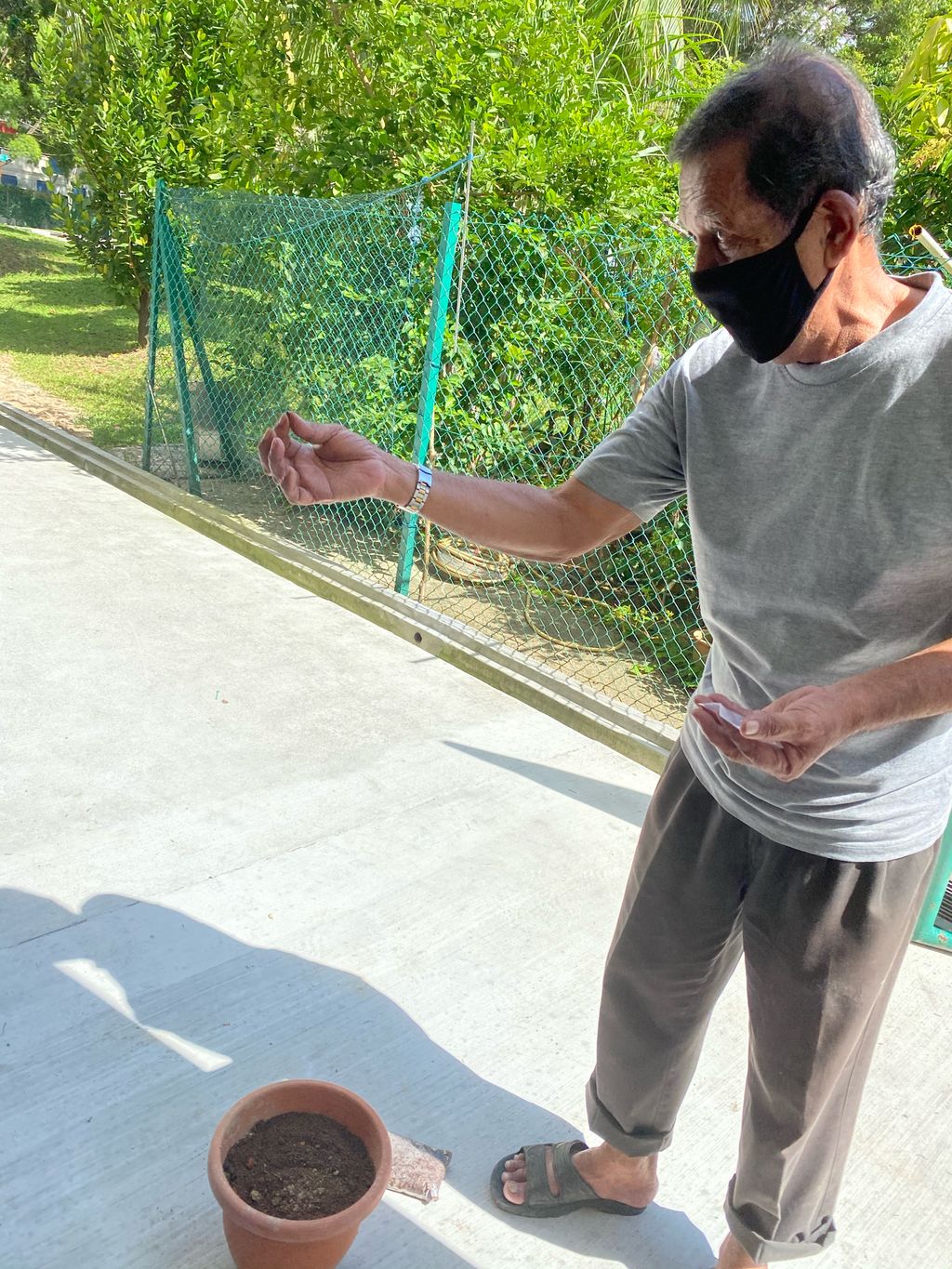 Week 7: ‘Nature and Me!’ – Launching of Project Sunflower — photo 3