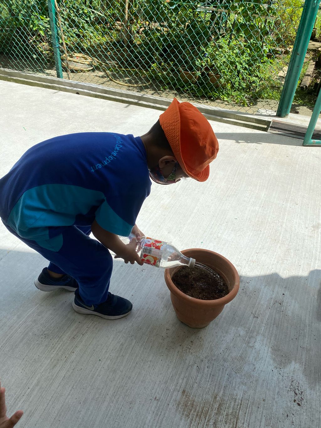 Week 7: ‘Nature and Me!’ – Launching of Project Sunflower — photo 6