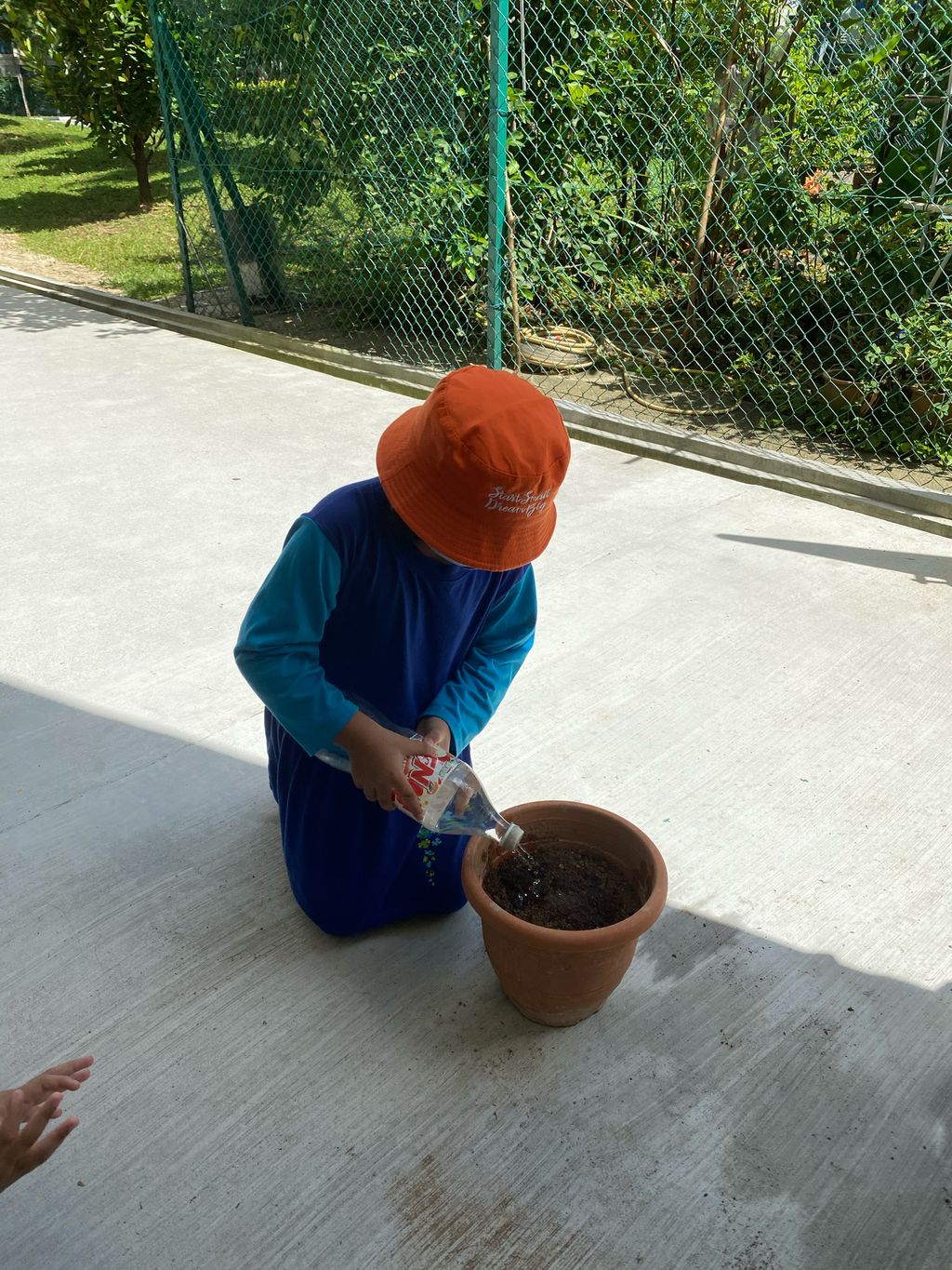 Week 7: ‘Nature and Me!’ – Launching of Project Sunflower — photo 14