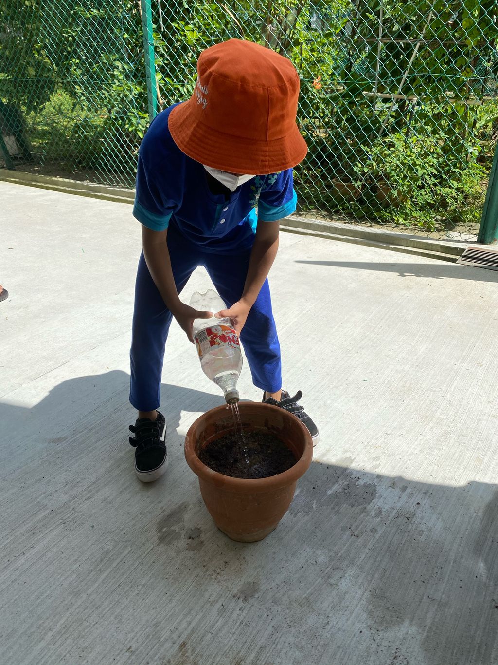 Week 7: ‘Nature and Me!’ – Launching of Project Sunflower — photo 15