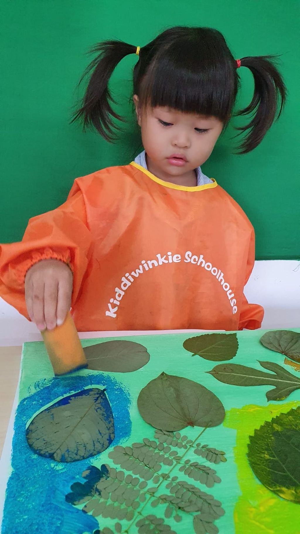 Wonders of Nature by Novena Kiddiwinkie Schoolhouse — photo 8