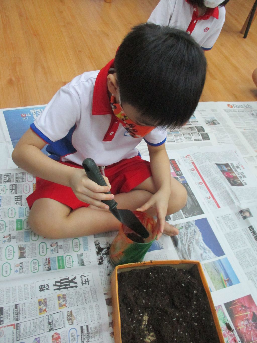 We are GREEN! – Our Simple Vegetable Garden — photo 5