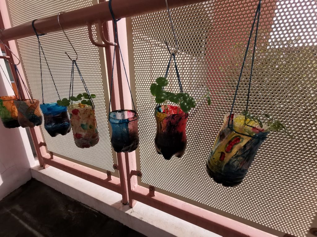 We are GREEN! – Our Simple Vegetable Garden — photo 2