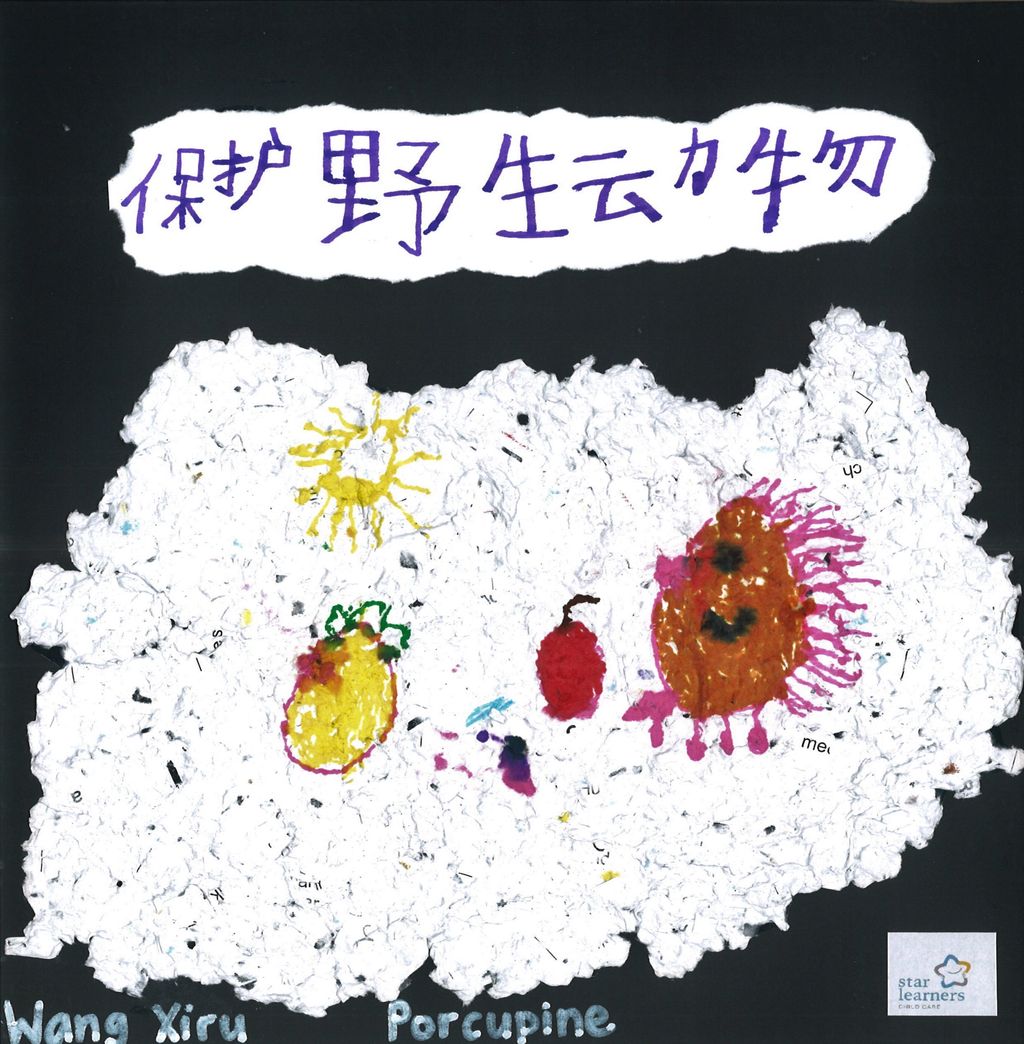 看我们用再生纸做的宣传卡片! — photo 7