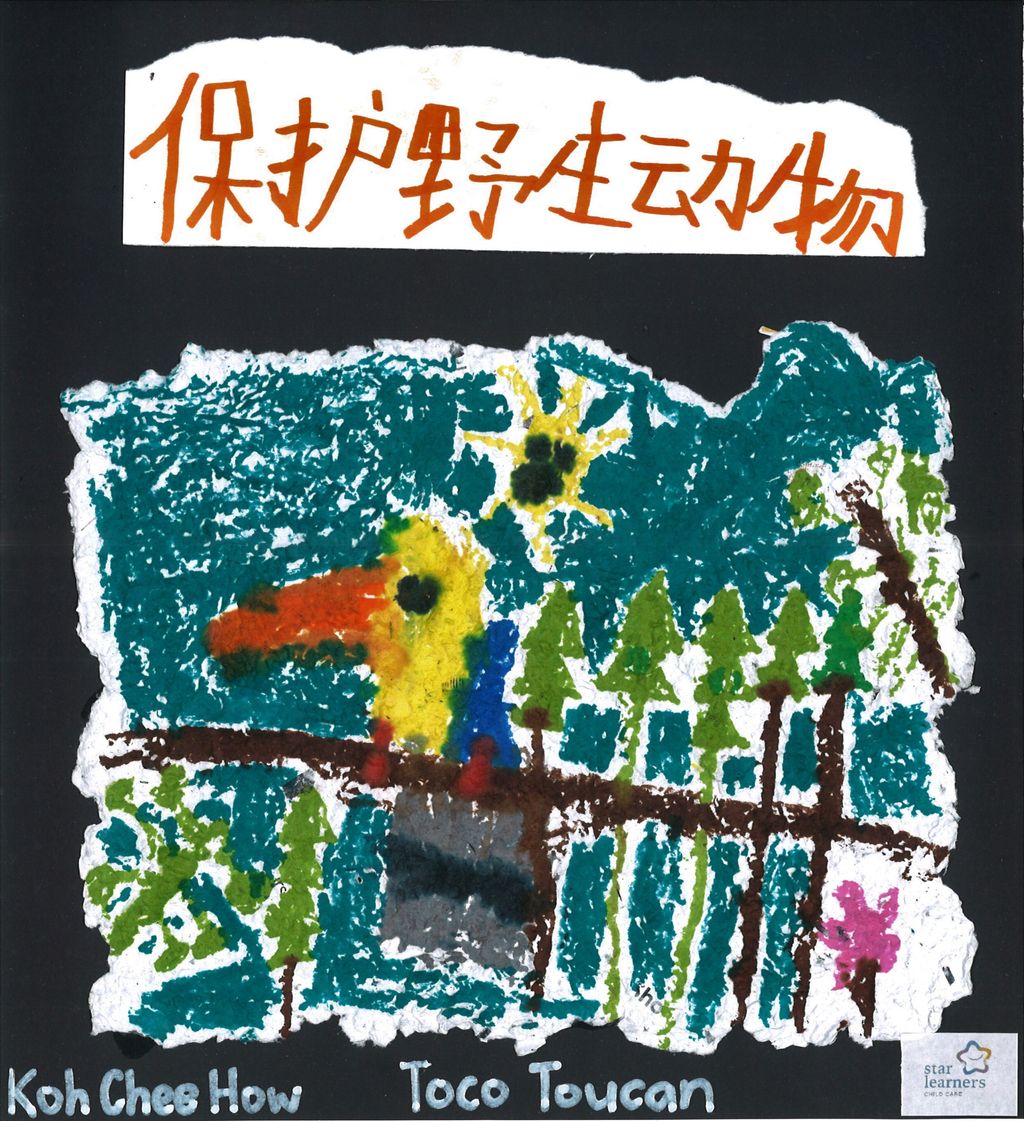 看我们用再生纸做的宣传卡片! — photo 8