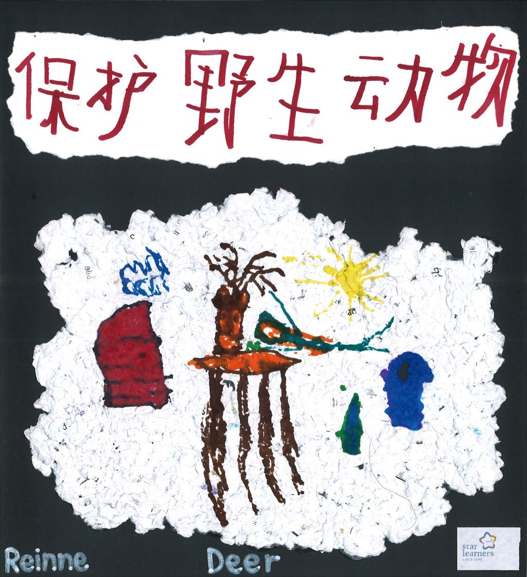看我们用再生纸做的宣传卡片! — photo 9