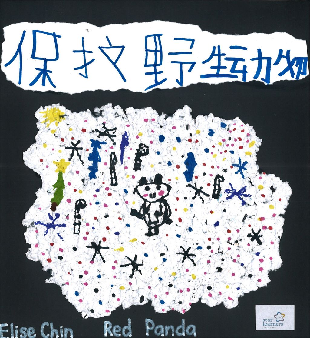 看我们用再生纸做的宣传卡片! — photo 10