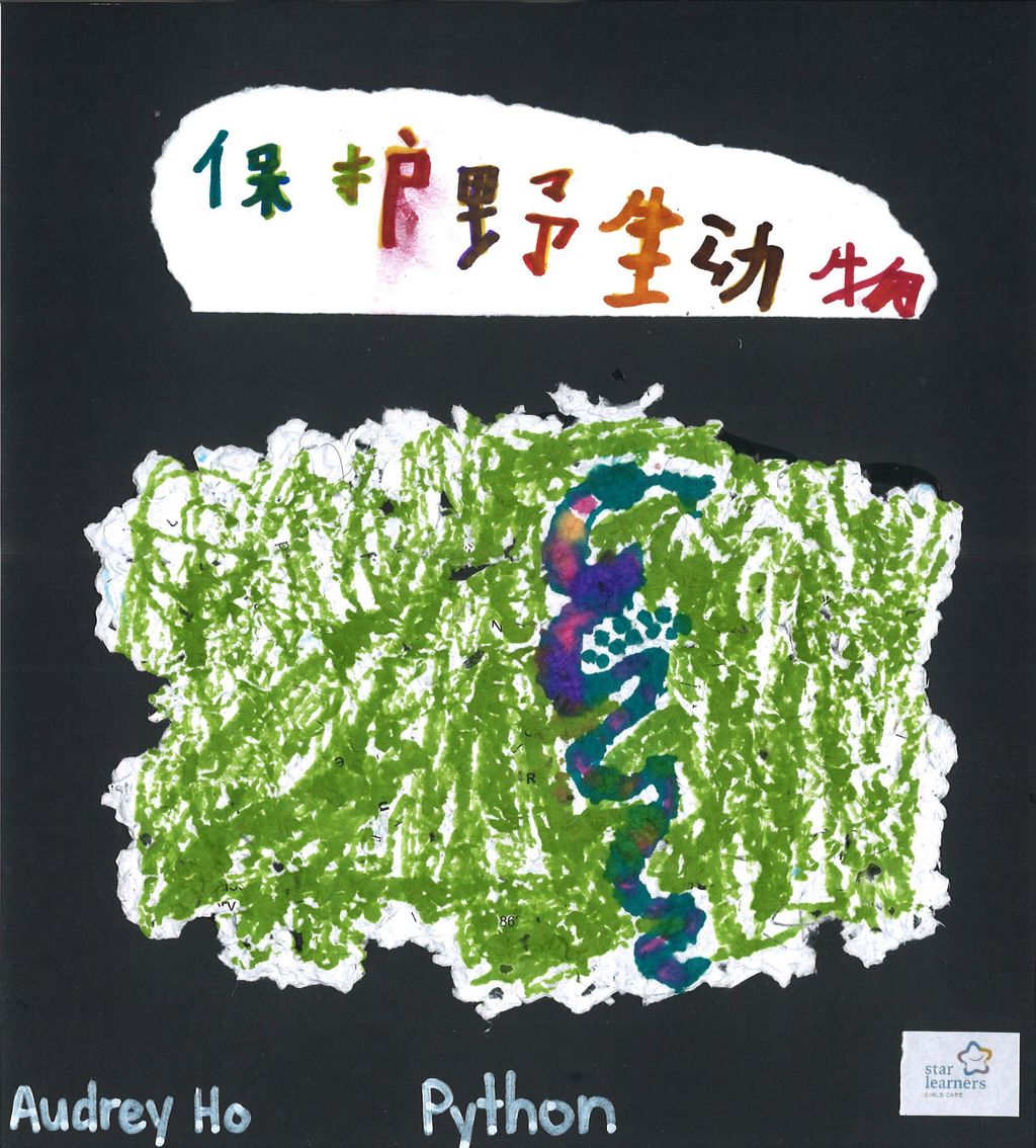 看我们用再生纸做的宣传卡片! — photo 11