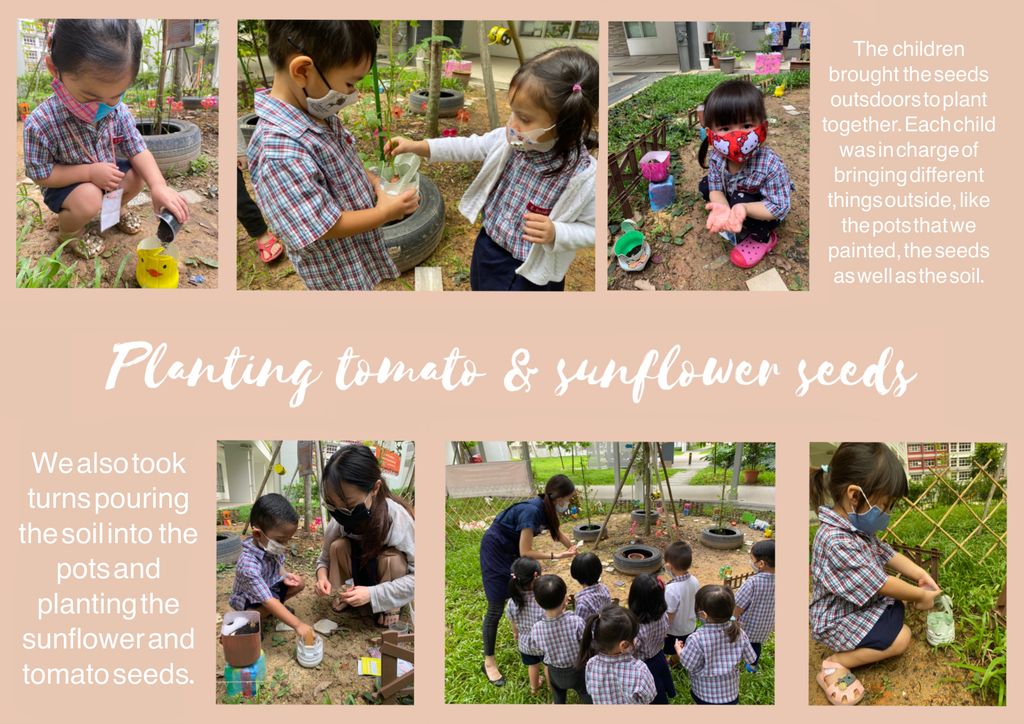 Caring for our plants