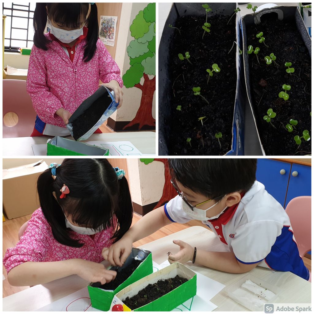 Towards A Greener Home — photo 2