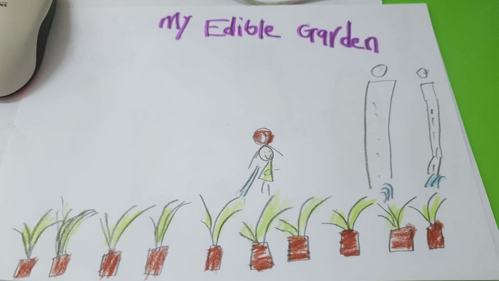 The Chinese Kindergarten Presents SSDB Project: “Growing Our Own Edibles “