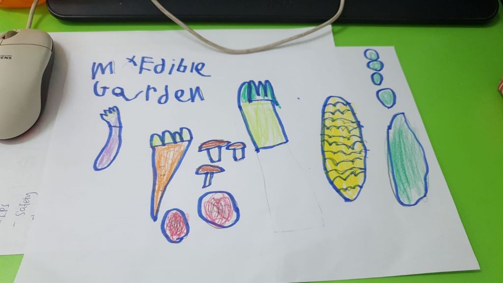 The Chinese Kindergarten Presents SSDB Project: “Growing Our Own Edibles “ — photo 2