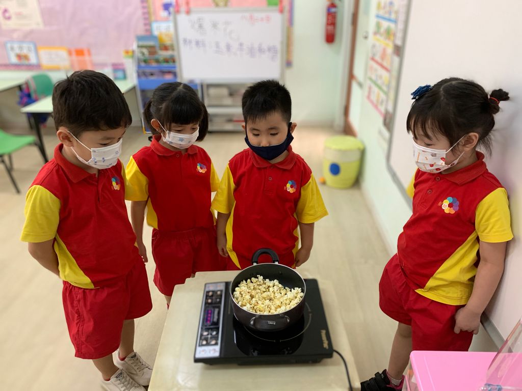 星洲幼稚园 SSDB 计划 :- 体会栽种乐趣、了解食物的来源 — photo 18