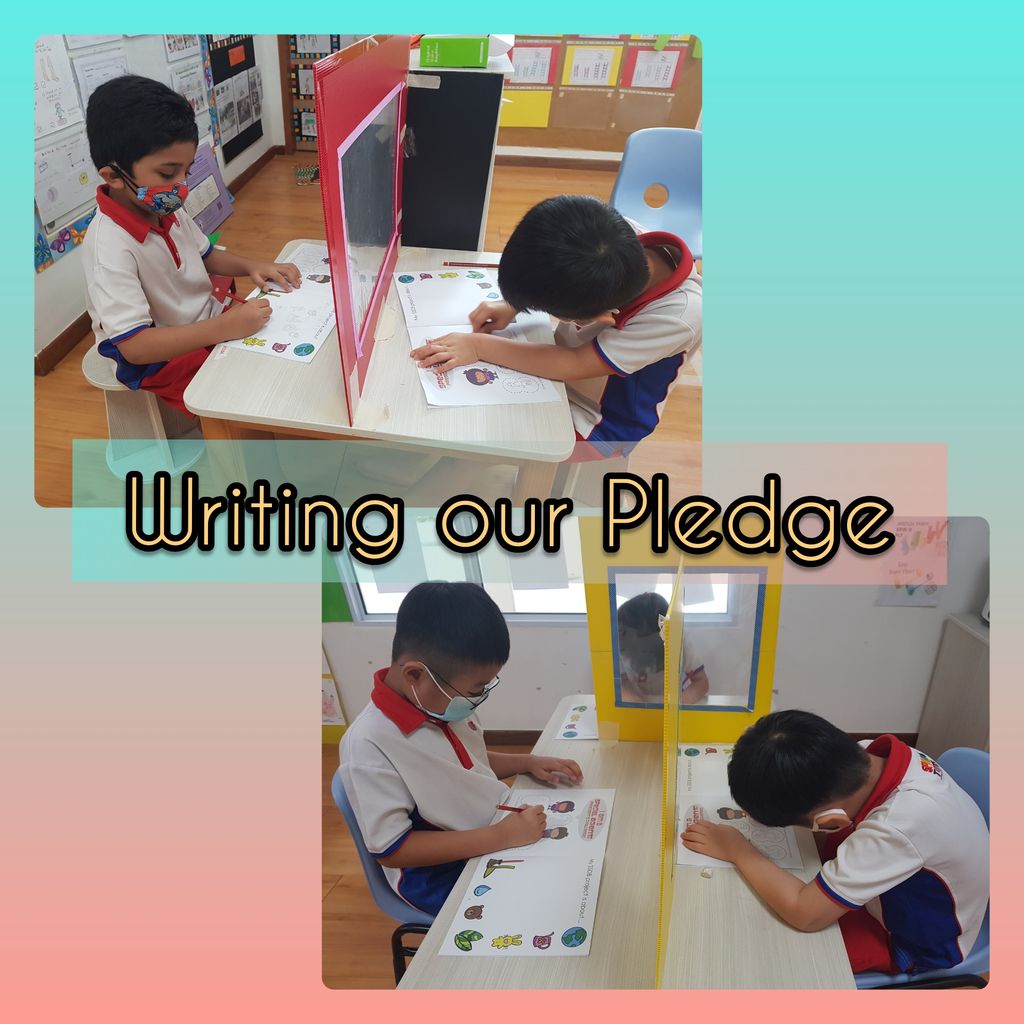 START SMALL DREAM BIG 2020 FIGHTING COVID-19 — photo 1