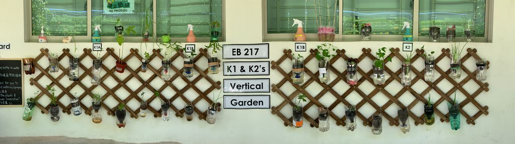 E-Bridge 217 Edible Vertical Garden