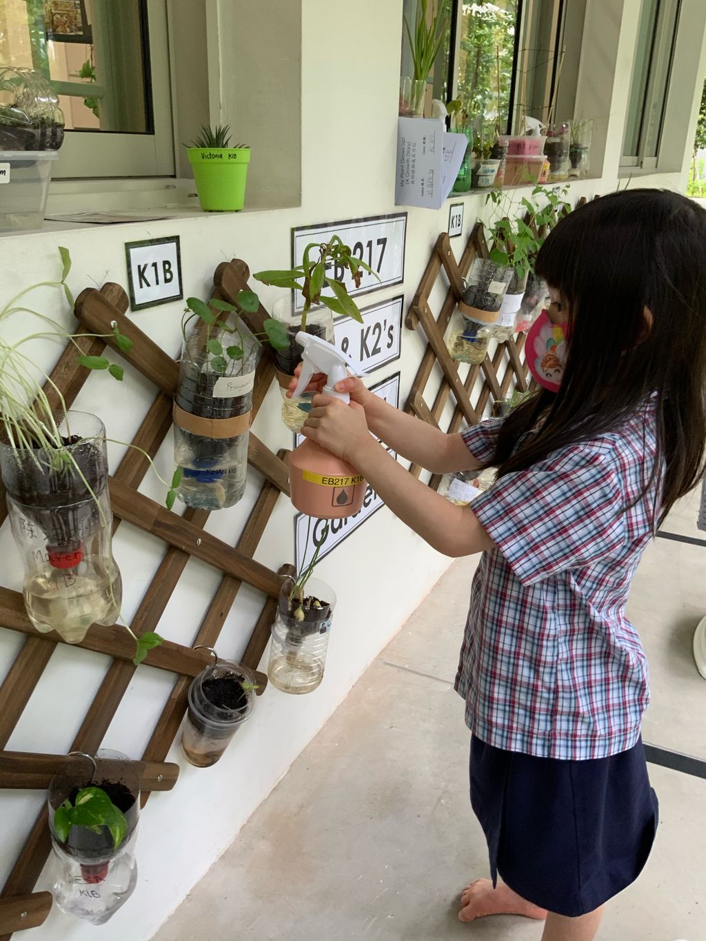 E-Bridge 217 Edible Vertical Garden — photo 1