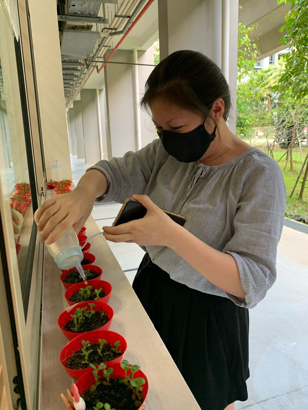 E-Bridge 217 Edible Vertical Garden — photo 2
