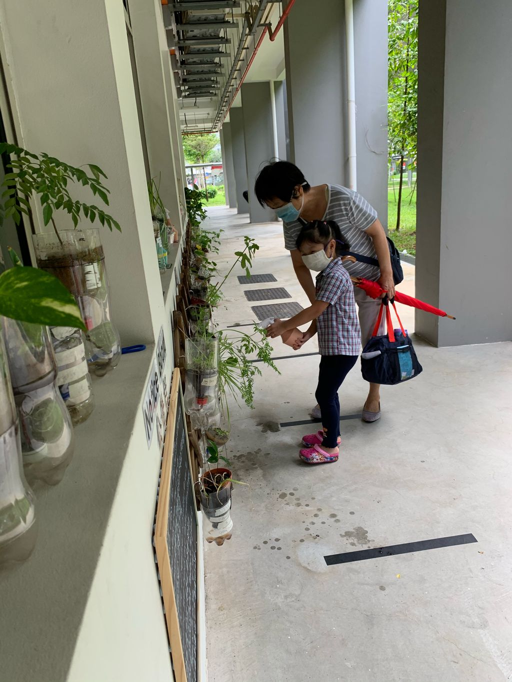 E-Bridge 217 Edible Vertical Garden — photo 4