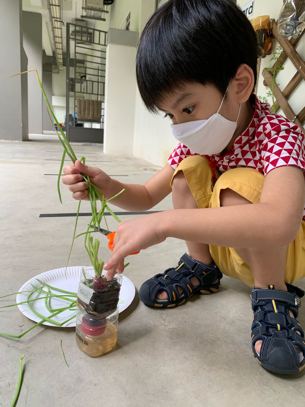 E-Bridge 217 Edible Vertical Garden — photo 1