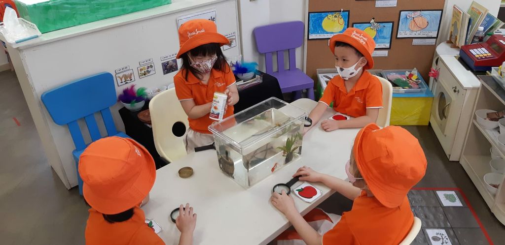 Pet Ownership - Our Class Pets! — photo 2