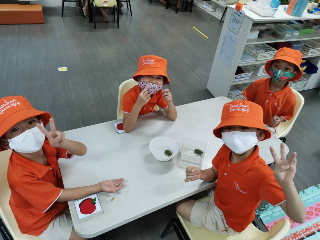 Pet Ownership - Our Class Pets! — photo 3