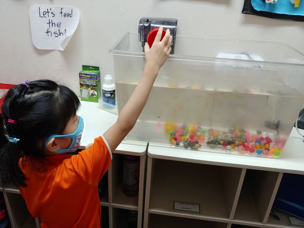 Pet Ownership - Our Class Pets! — photo 8