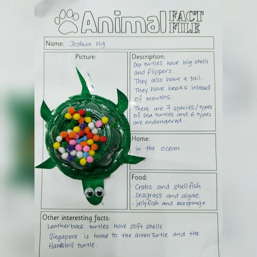 Outdoor learning @ Singapore Zoo — photo 1