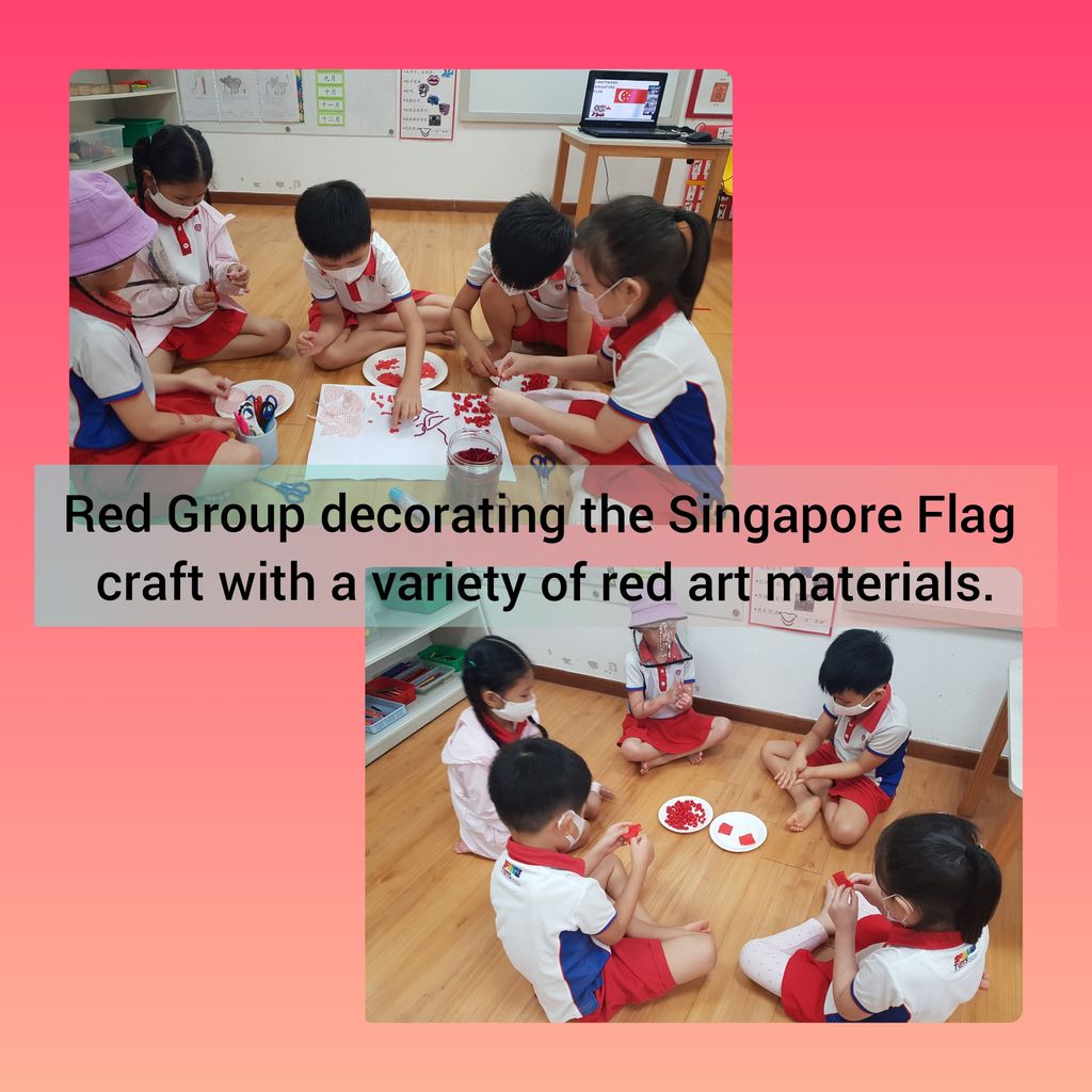NDP Celebration with the LionBefrienders via Zoom — photo 1