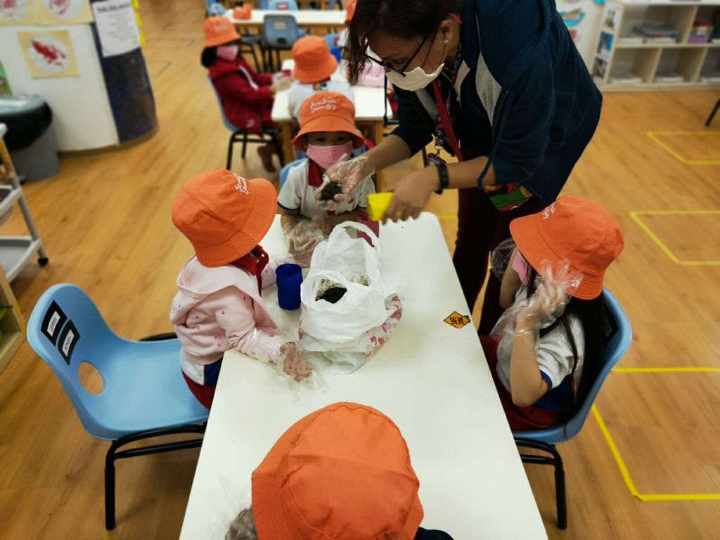 OUR YOUNG EXPLORERS OF THE ENVIRONMENT — photo 4