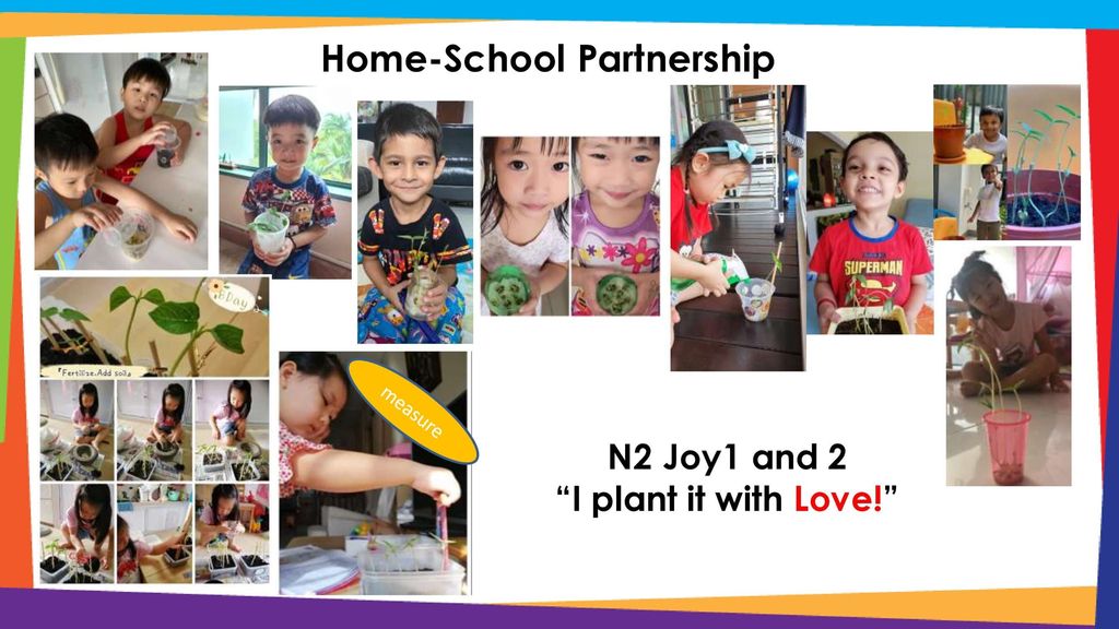 Plant it with Love — photo 7