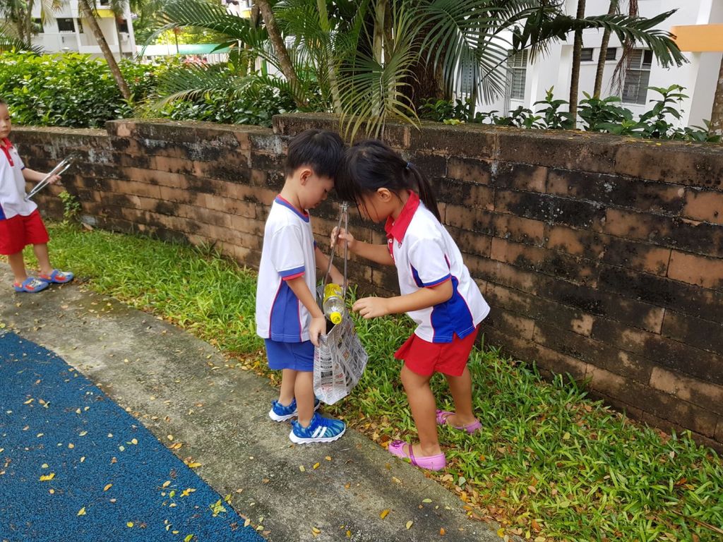 "Going Green - A Love for Our Neighbourhood" 20th July 2017 — photo 16