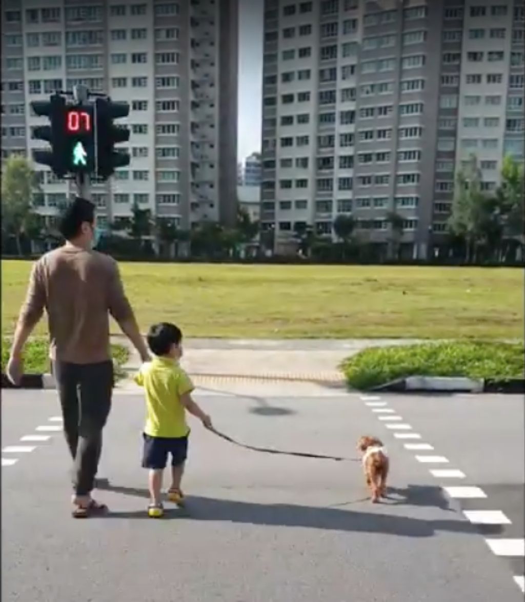 Agape Little Uni @ Upper Serangoon - Responsible & Considerate Pet Ownership — photo 2