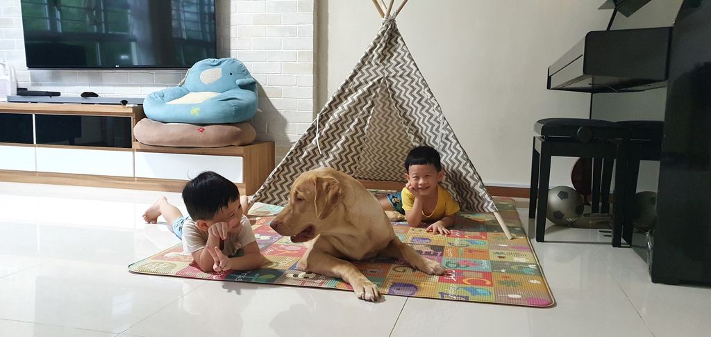 Agape Little Uni @ Upper Serangoon - Responsible & Considerate Pet Ownership — photo 3
