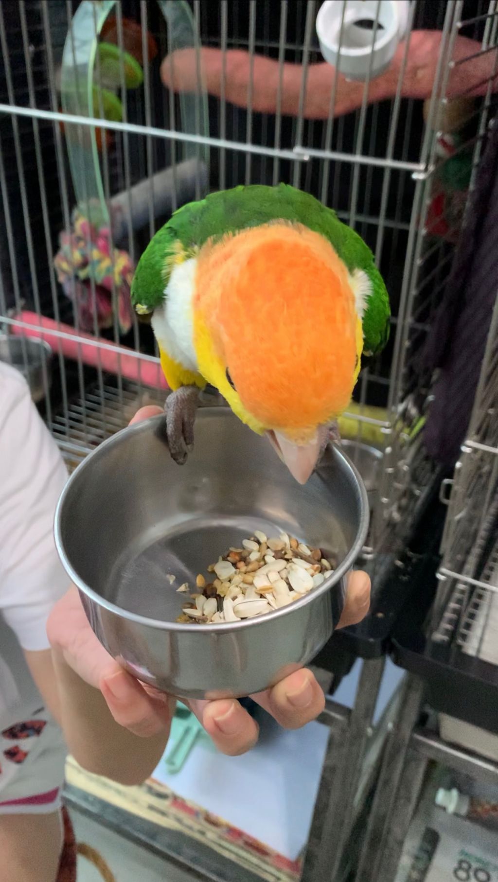 Agape Little Uni @ Upper Serangoon - Responsible & Considerate Pet Ownership — photo 4