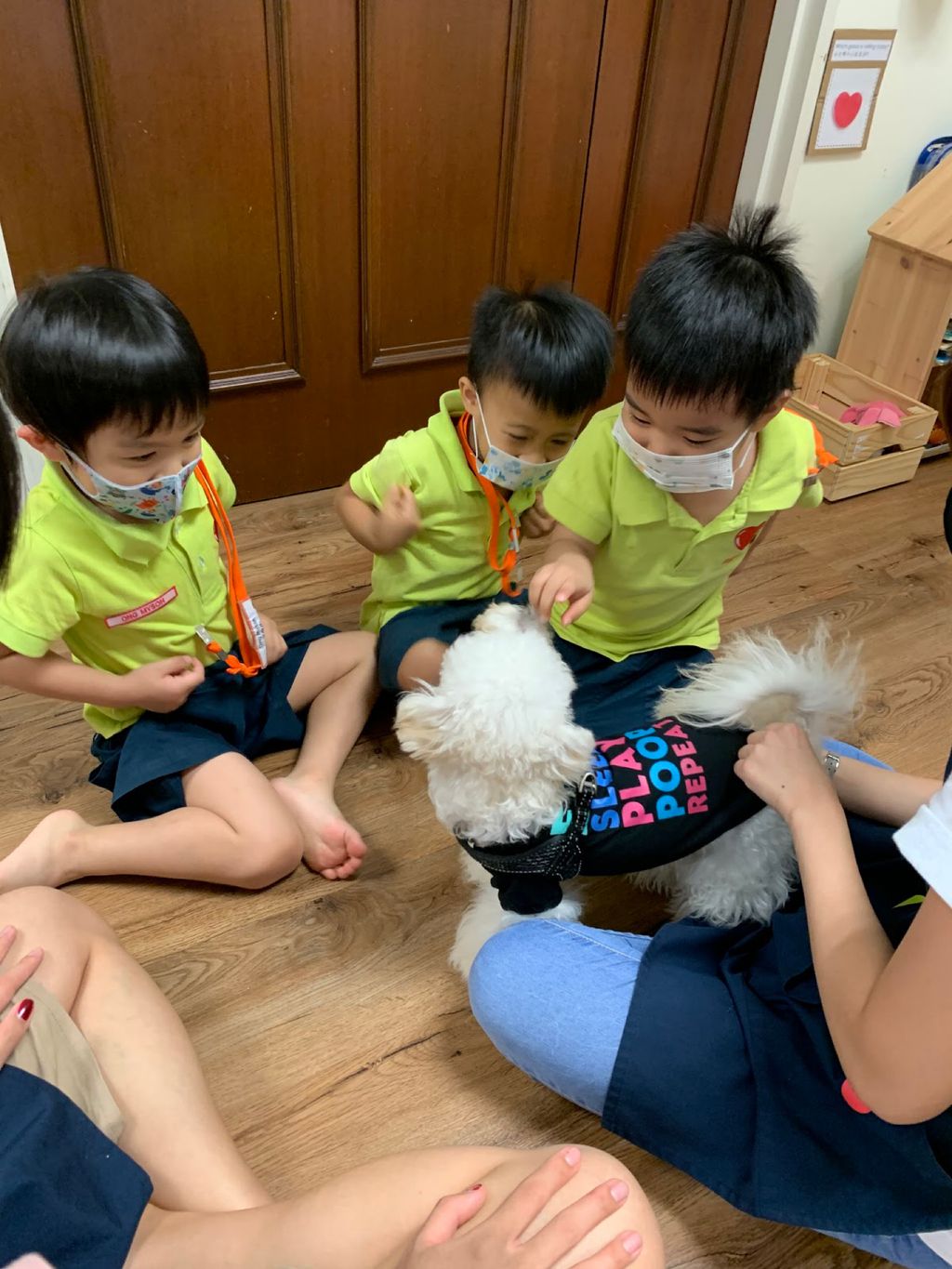Agape Little Uni @ Upper Serangoon - Responsible & Considerate Pet Ownership — photo 2