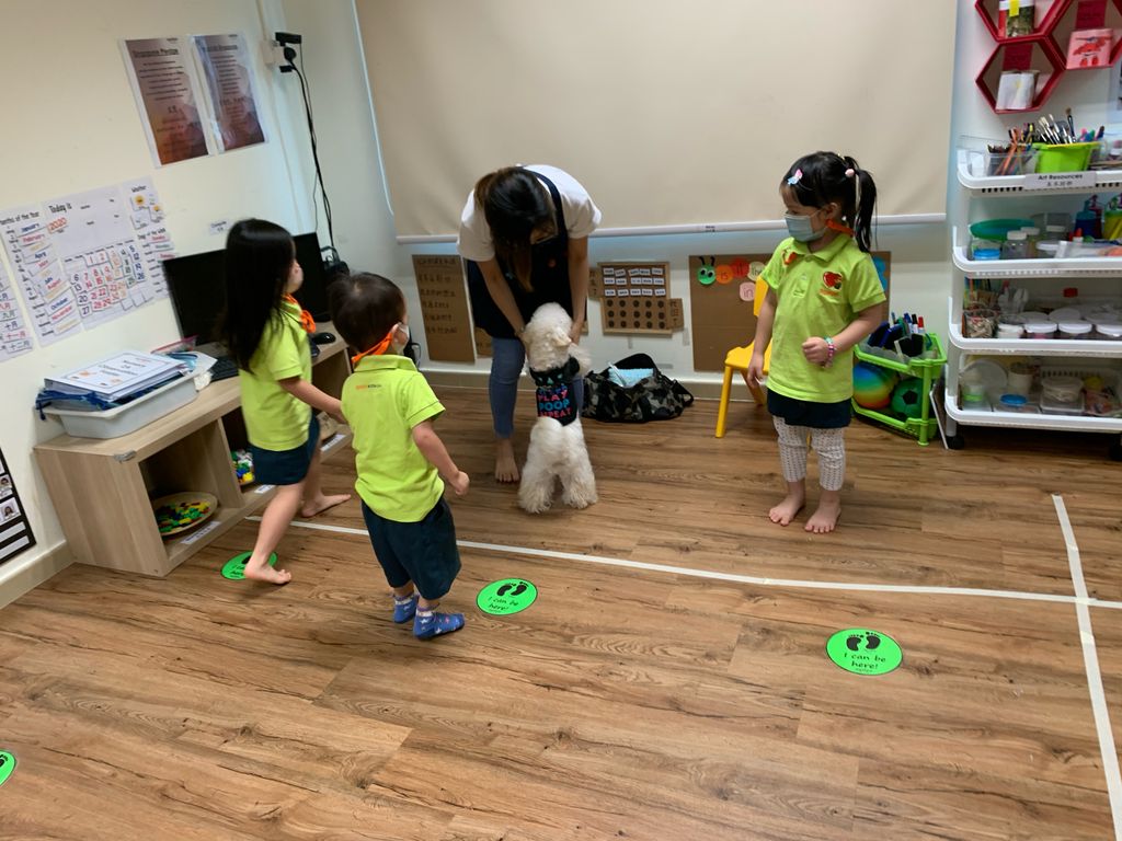 Agape Little Uni @ Upper Serangoon - Responsible & Considerate Pet Ownership — photo 3