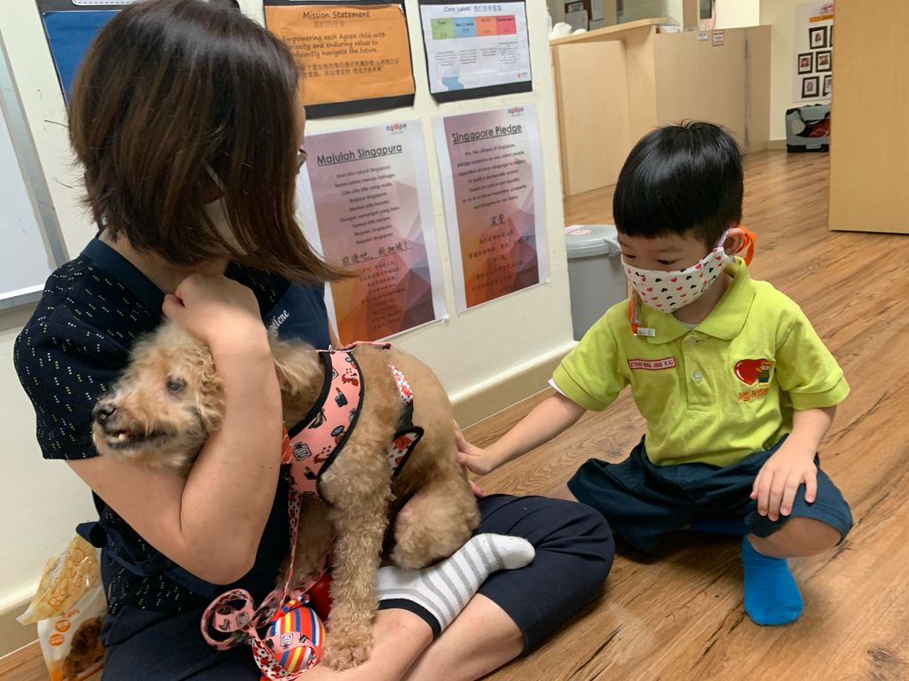 Agape Little Uni @ Upper Serangoon - Responsible & Considerate Pet Ownership — photo 5