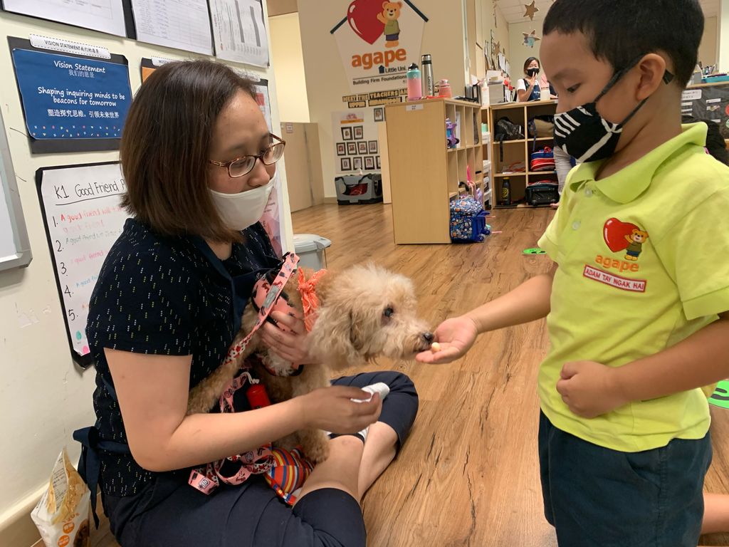 Agape Little Uni @ Upper Serangoon - Responsible & Considerate Pet Ownership — photo 6