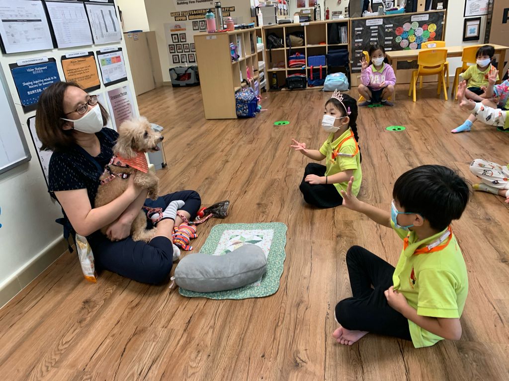 Agape Little Uni @ Upper Serangoon - Responsible & Considerate Pet Ownership — photo 7
