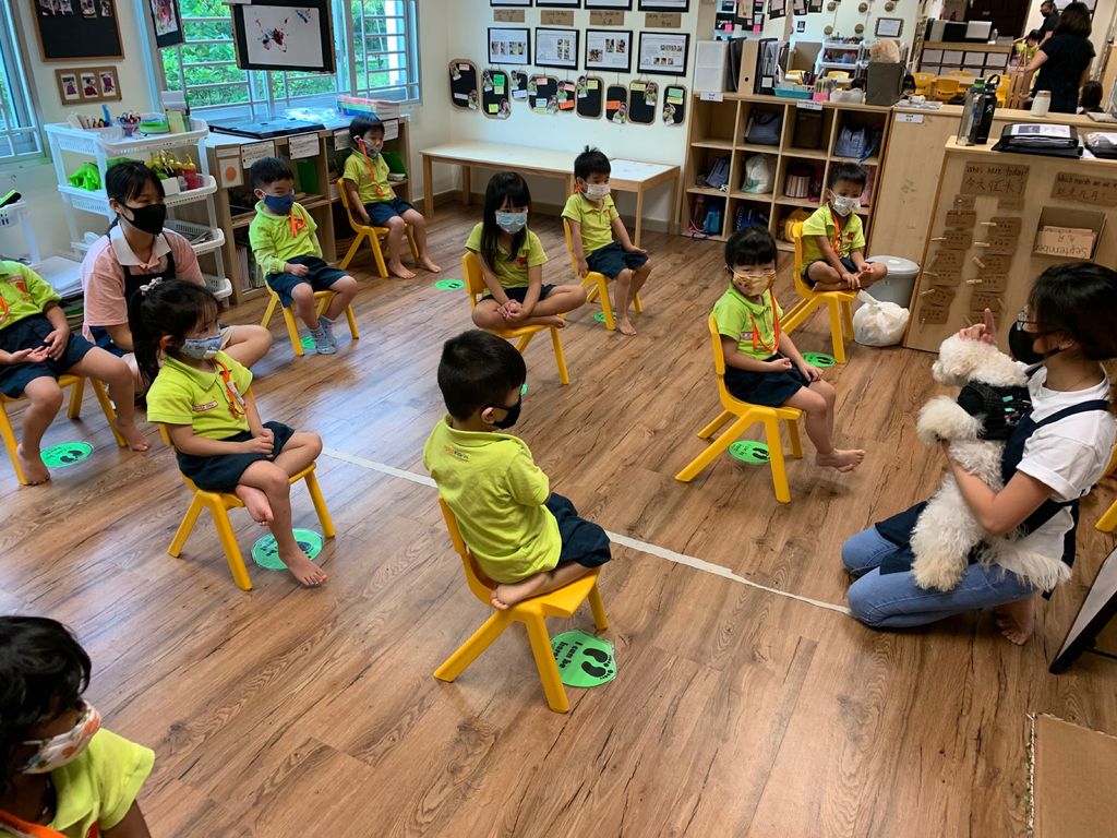 Agape Little Uni @ Upper Serangoon - Responsible & Considerate Pet Ownership — photo 8