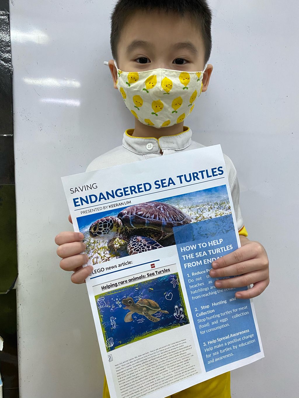 SSDB 2020: K1’s Conservations of Endangered Sea Turtles! — photo 2