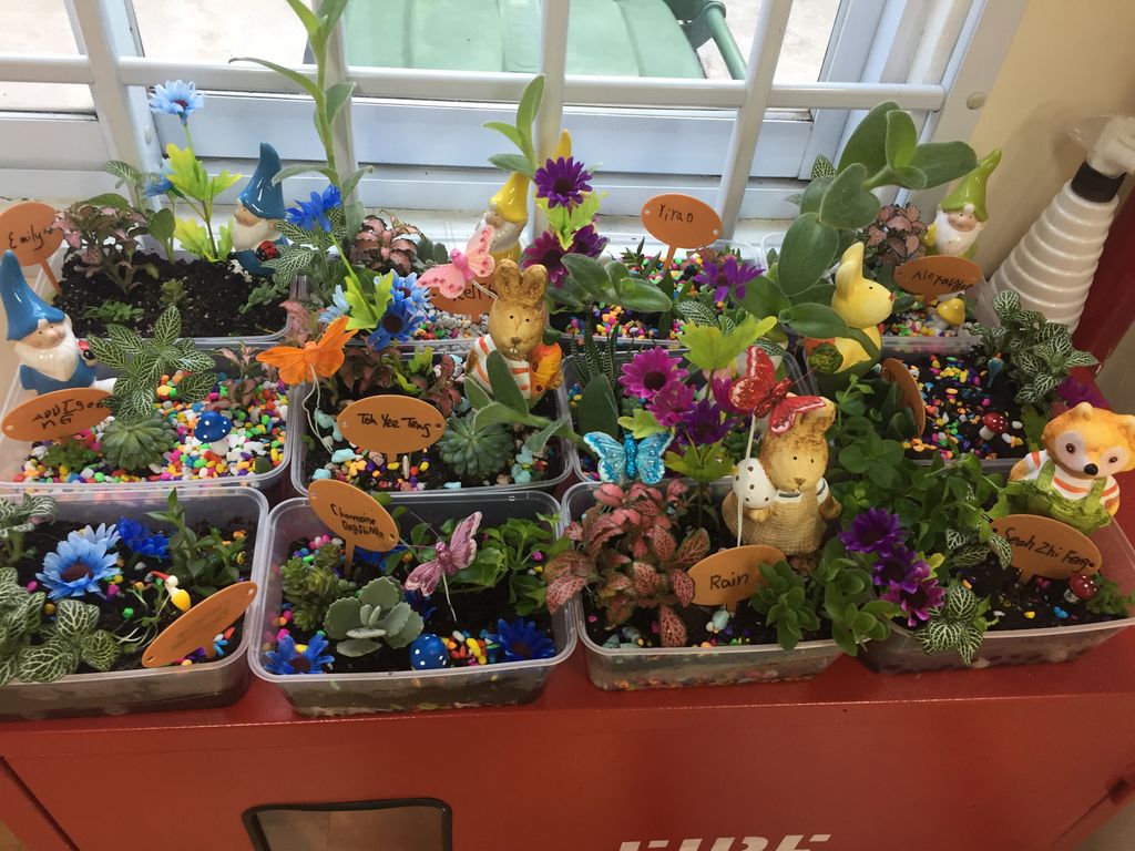 Pcf Sparkletots Preschool @ Jalan Kayu Blk 517/520 Inhouse Seed Germination and Terrarium Making Workshop as Parent-Child Bonding — photo 22