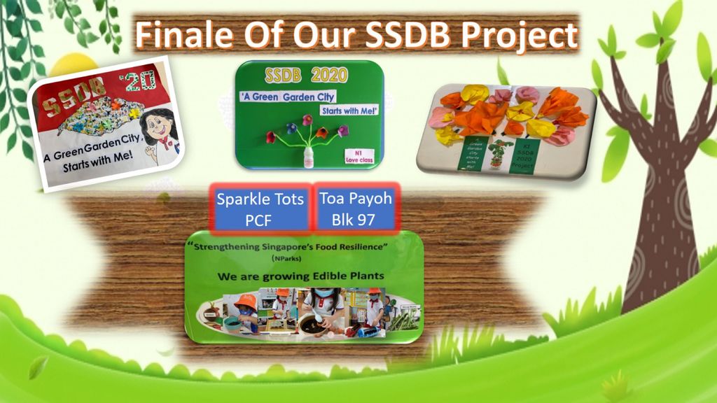 Phase 3: Our Garden Project- A sustainable one!