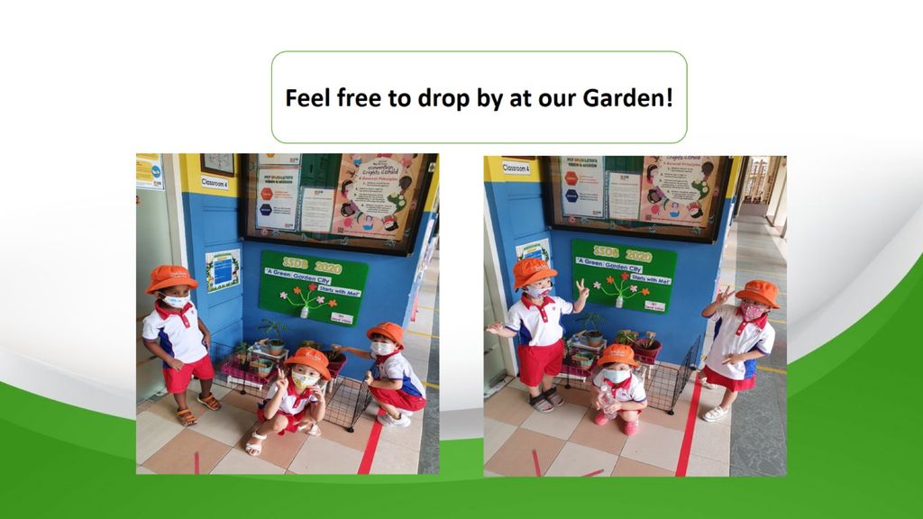 Phase 3: Our Garden Project- A sustainable one! — photo 3