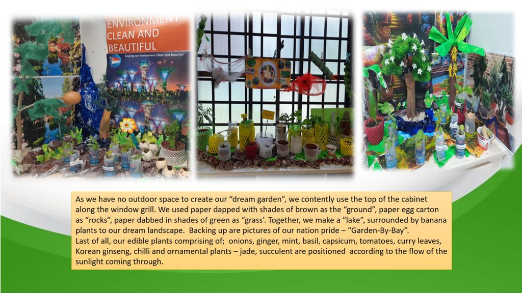 Phase 3: Our Garden Project- A sustainable one! — photo 5