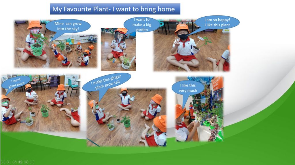 Phase 3: Our Garden Project- A sustainable one! — photo 8