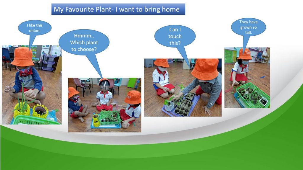Phase 3: Our Garden Project- A sustainable one! — photo 10