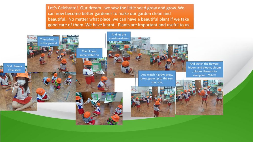 Phase 3: Our Garden Project- A sustainable one! — photo 11