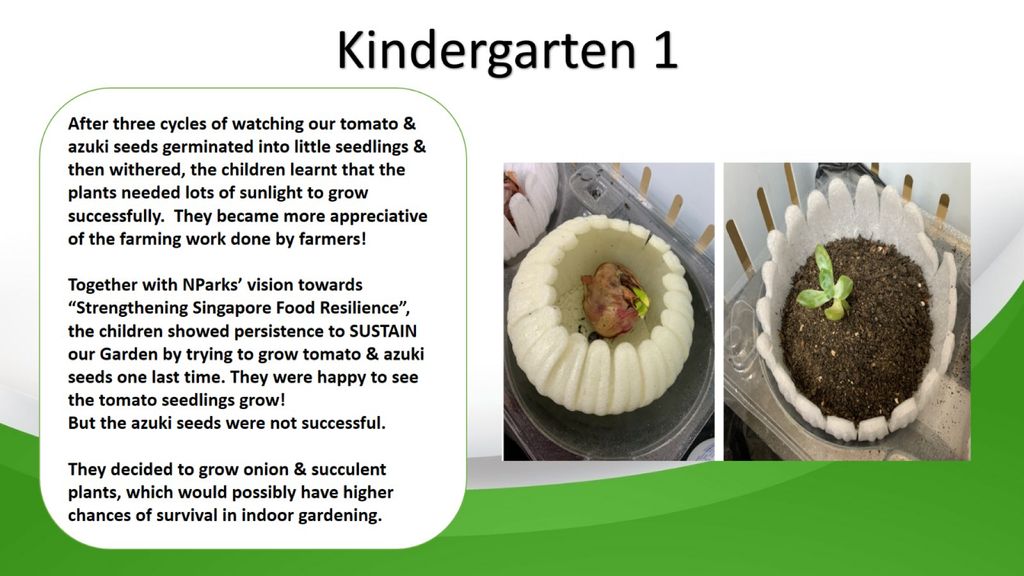 Phase 3: Our Garden Project- A sustainable one! — photo 12